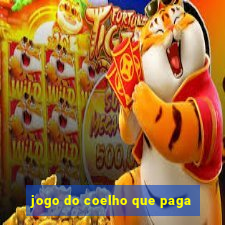 jogo do coelho que paga